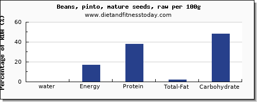 water and nutrition facts in pinto beans per 100g
